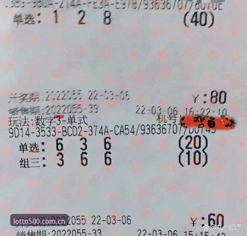 500彩票平台2026最新版本详解：功能升级与使用指南